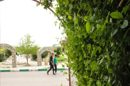 اسلایدشو